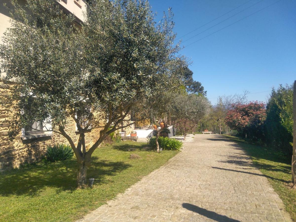 Quinta Do Senhor Villa Braga Exterior foto